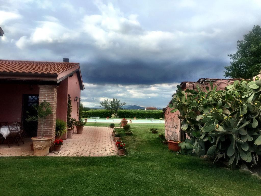 Agriturismo Podere Cirene Rispescia Exterior photo